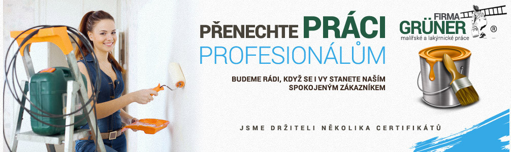 Přenechte práci profesionálům
